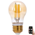 LED Dimmable bulb FILAMENT MESH Smart G45 E27/4,5W/230V 2700-6500K - Aigostar
