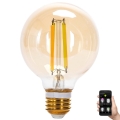 LED Dimmable bulb FILAMENT MESH Smart G80 E27/6W/230V 2700-6500K - Aigostar