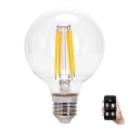 LED Dimmable bulb FILAMENT MESH Smart G95 E27/6W/230V 2700-6500K - Aigostar