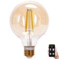 LED Dimmable bulb FILAMENT MESH Smart G95 E27/6W/230V 2700-6500K - Aigostar