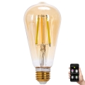LED Dimmable bulb FILAMENT MESH Smart ST64 E27/6W/230V 2700-6500K - Aigostar