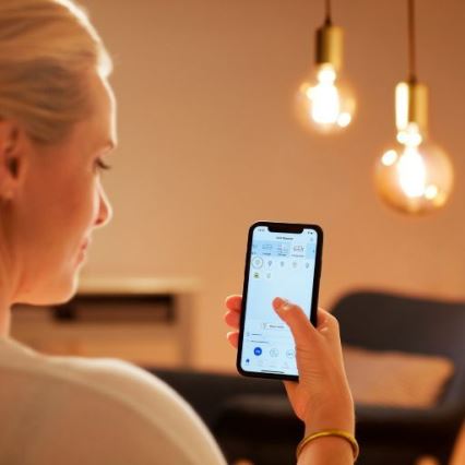 LED Dimmable bulb FILAMENT G125 E27/7W/230V 2700-6500K CRI 90 Wi-Fi - WiZ