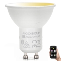 LED Dimmable bulb GU10/6,5W/230V 2700-6500K - Aigostar