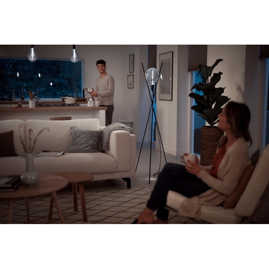 LED Dimmable bulb SMOKY VINTAGE Philips E27/6,5W/230V 4000K