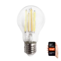 LED Dimmable bulb VINTAGE A60 E27/7W/230V 2700-6500K Wi-fi Tuya