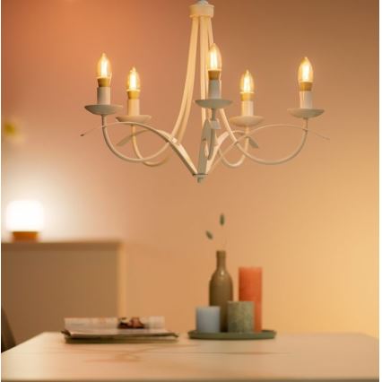 LED Dimmable bulb VINTAGE FILAMENT C35 E14/4,9W/230V 2000-5000K CRI 90 Wi-Fi - WiZ