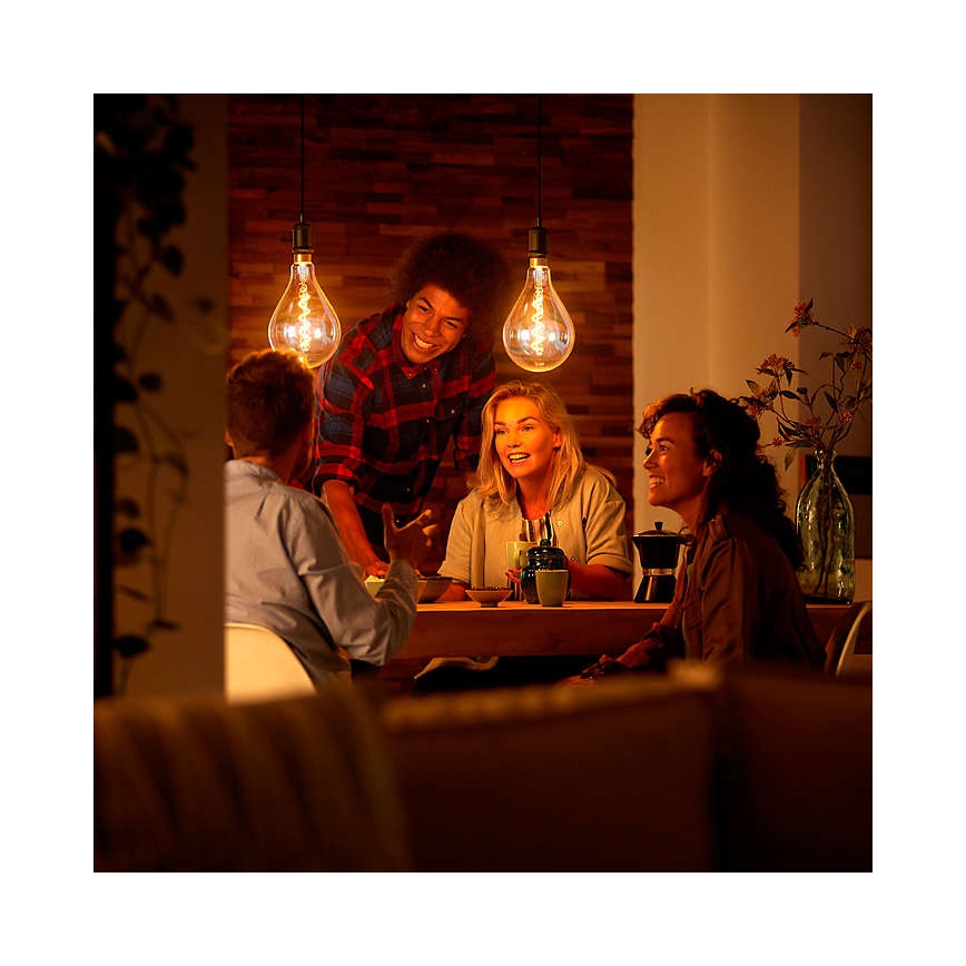 LED Dimmable bulb VINTAGE DYI E27/4W/230V 2700K - Leuchten Direkt 0846