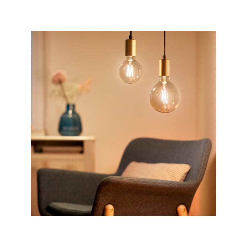 LED Dimmable bulb VINTAGE FILAMENT G125 E27/6,7W/230V 2000-5000K CRI 90 Wi-Fi - WiZ