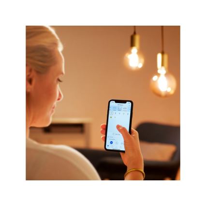 LED Dimmable bulb VINTAGE FILAMENT G95 E27/6,7W/230V 2000-5000K CRI 90 Wi-Fi - WiZ