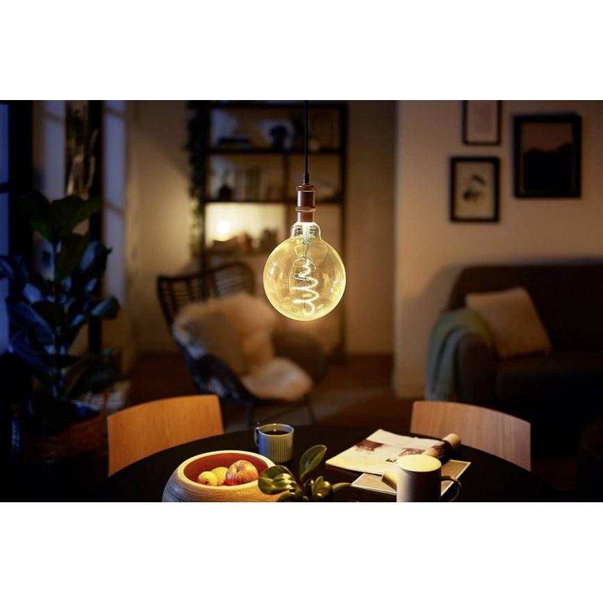 LED Dimmable bulb VINTAGE Philips G200 E27/7W/230V 2000K