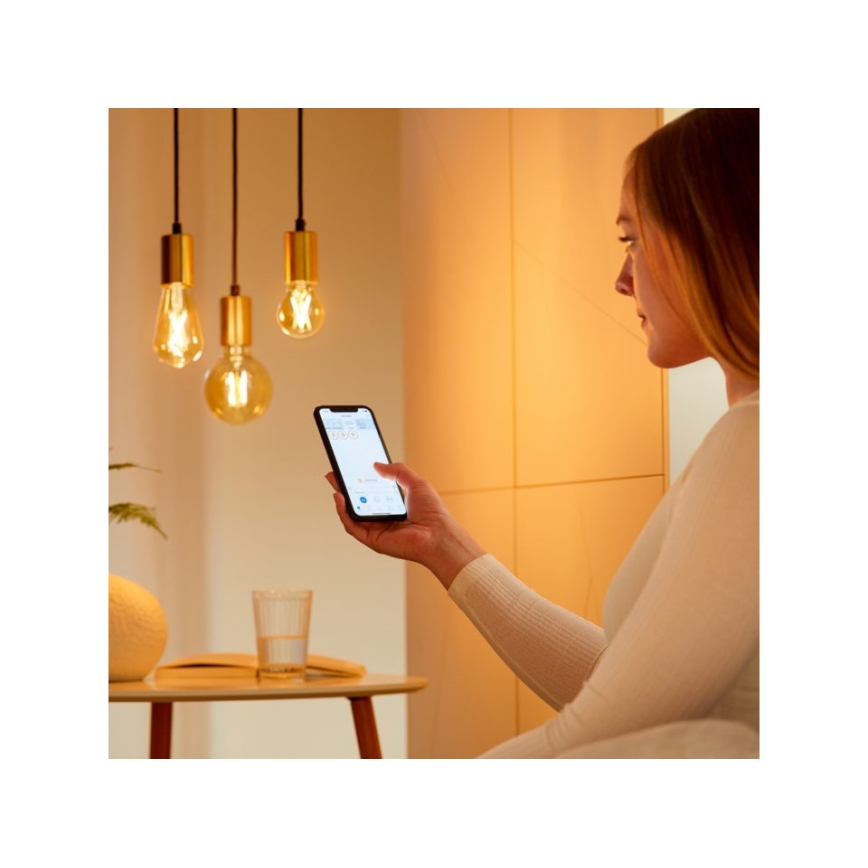 LED Dimmable bulb VINTAGE FILAMENT ST64 E27/7W/230V 2000-5000K CRI 90 Wi-Fi - WiZ