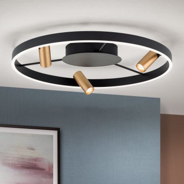 LED Dimmable ceiling light BERLIN LED/50W/230V black/gold