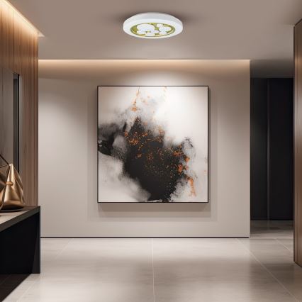 LED Dimmable ceiling light BUBBLES LED/30W/230V 3000-6000K + remote control