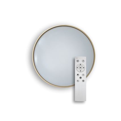 LED Dimmable ceiling light DRINA LED/36W/230V 2700-6500K d. 50 cm + remote control