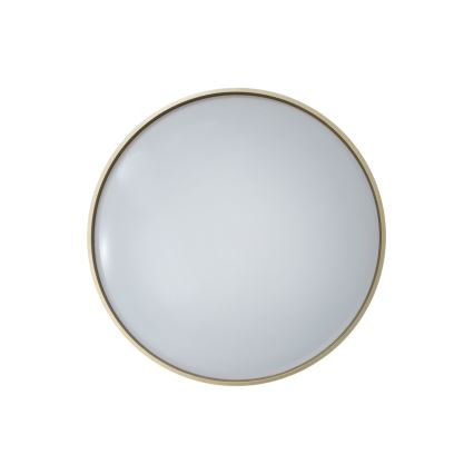 LED Dimmable ceiling light DRINA LED/36W/230V 2700-6500K d. 50 cm + remote control