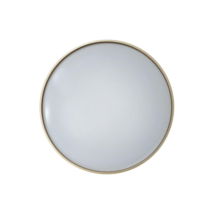 LED Dimmable ceiling light DRINA LED/36W/230V 2700-6500K d. 50 cm + remote control