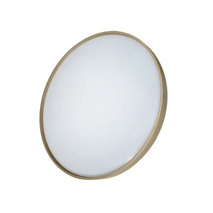 LED Dimmable ceiling light DRINA LED/36W/230V 2700-6500K d. 50 cm + remote control