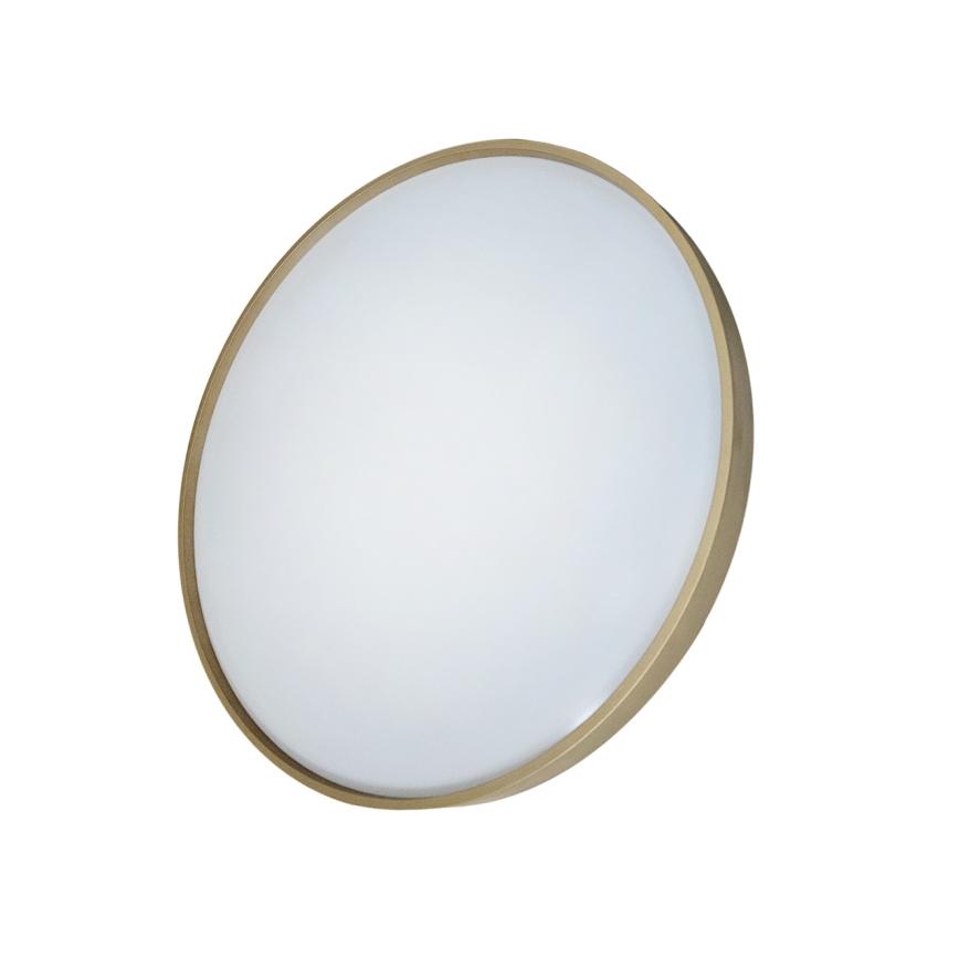 LED Dimmable ceiling light DRINA LED/36W/230V 2700-6500K d. 50 cm + remote control