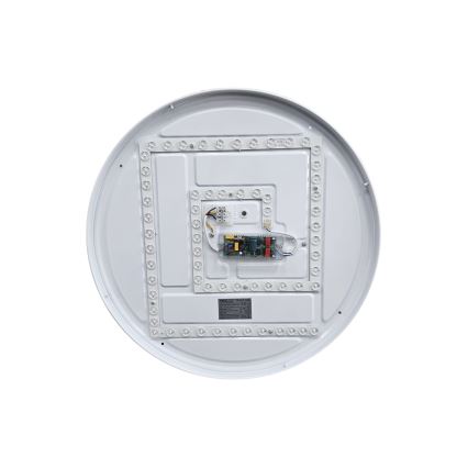 LED Dimmable ceiling light EBRO LED/36W/230V 2700-6500K d. 50 cm + remote control