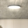 LED Dimmable ceiling light ESTELA LED/36W/230V d. 30 cm white + remote control