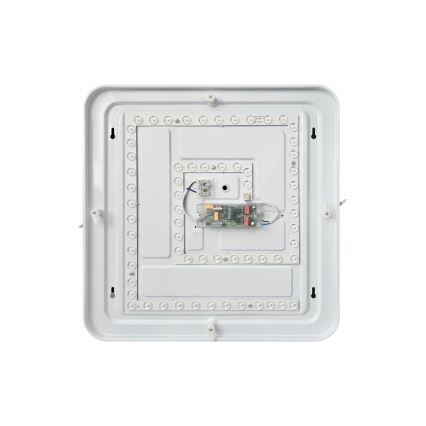LED Dimmable ceiling light FLORA LED/36W/230V 2700-6500K 43x43 cm + remote control