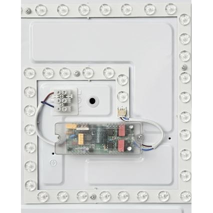 LED Dimmable ceiling light FLORA LED/36W/230V 2700-6500K 43x43 cm + remote control