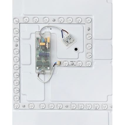 LED Dimmable ceiling light FLORA LED/60W/230V 2700-6500K 53x53 cm + remote control