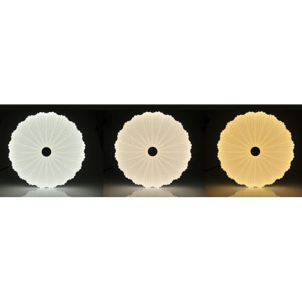 LED Dimmable ceiling light FLOWER LED/36W/230V + remote control