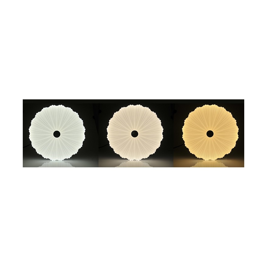 LED Dimmable ceiling light FLOWER LED/36W/230V + remote control