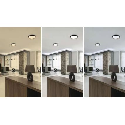 ILVI Dimmable LED Ceiling Fixture LED/30W/230V 2700-6500K Ø 40 cm Black/Beige + Remote Control