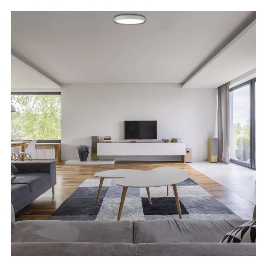 ILVI Dimmable LED Ceiling Light LED/30W/230V 2700-6500K Ø 40 cm White/Beige + Remote Control