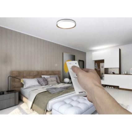 LED Dimmable Ceiling Light ILVI LED/45W/230V 2700-6500K Ø 50 cm White/Beige + Remote Control