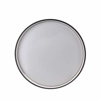 LED Dimmable bathroom ceiling light JADWIGA LED/42W/230V d. 38,5 cm 3000-6000K IP44 + remote control