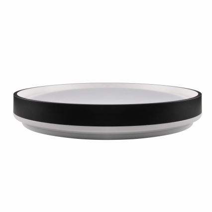LED Dimmable bathroom ceiling light JADWIGA LED/42W/230V d. 38,5 cm 3000-6000K IP44 + remote control