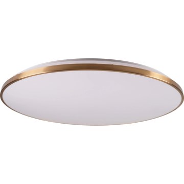 LED Dimmable Ceiling Light KERN LED/100W/230V 3000/4000/6000K Ø 100 cm Gold + Remote Control