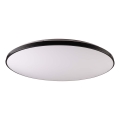 LED Dimmable ceiling light KERN LED/80W/230V 3000-6000K d. 80 cm black + remote control