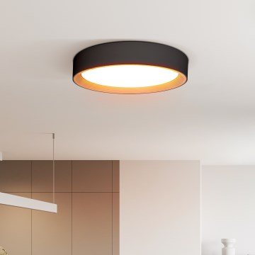 LED Dimmable ceiling light LARIOS LED/48W/230V 3000-6500K d. 39 cm black + remote control