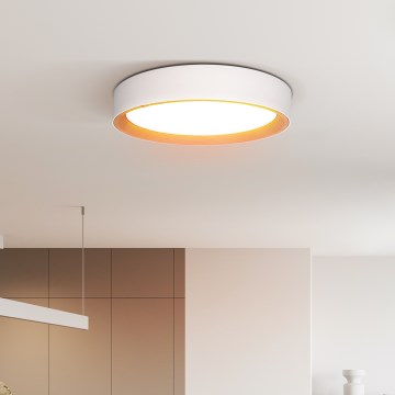 LED Dimmable ceiling light LARIOS LED/48W/230V 3000-6500K d. 39 cm white + remote control