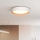 LED Dimmable ceiling light LARIOS LED/48W/230V 3000-6500K d. 39 cm white + remote control