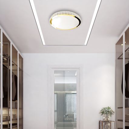 LED Dimmable ceiling light LAYLA LED/50W/230V 3000/4000/6000K gold + remote control