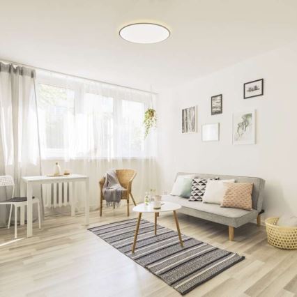 LED Dimmable ceiling light LED/24W/230V + remote control round 2700K-6500K