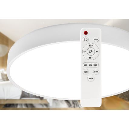 LED Dimmable ceiling light LED/30W/230V 3000-6500K d. 30 cm white + remote control