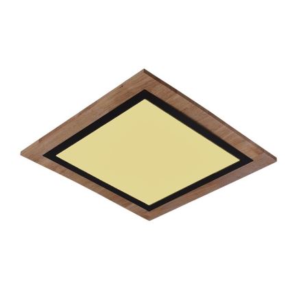 LED Dimmable Ceiling Light LED/35W/230V 3000-6500K + Remote Control