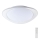 LED Dimmable ceiling light LED/40W/230V 3000-6500K 45 cm white + remote control