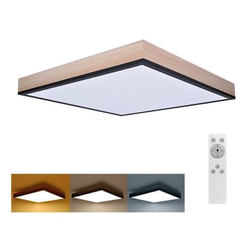 LED Dimmable ceiling light LED/40W/230V 3000-6500K + remote control
