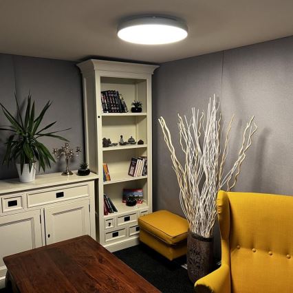LED Dimmable ceiling light LED/48W/230V 2700-6500K Wi-Fi Tuya + remote control