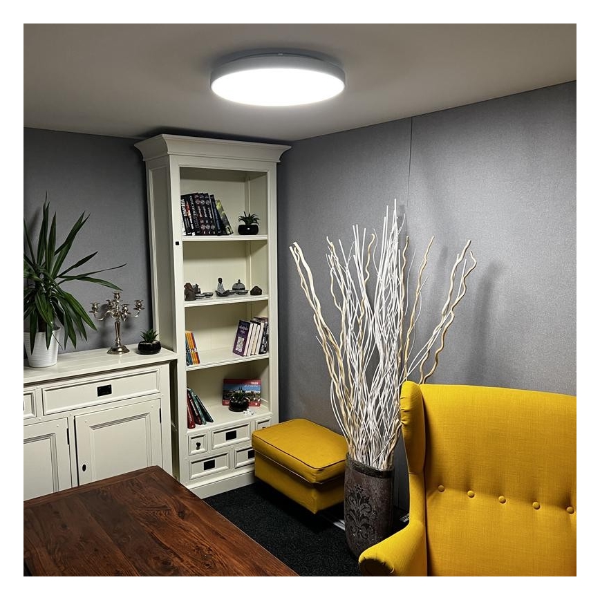 LED Dimmable ceiling light LED/48W/230V 2700-6500K Wi-Fi Tuya + remote control
