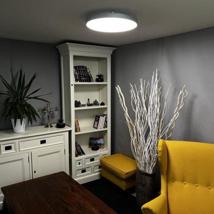 LED Dimmable ceiling light LED/48W/230V 2700-6500K Wi-Fi Tuya + remote control