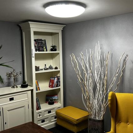 LED Dimmable ceiling light LED/48W/230V 2700-6500K Wi-Fi Tuya + remote control