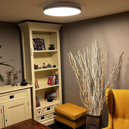 LED Dimmable ceiling light LED/48W/230V 2700-6500K Wi-Fi Tuya + remote control